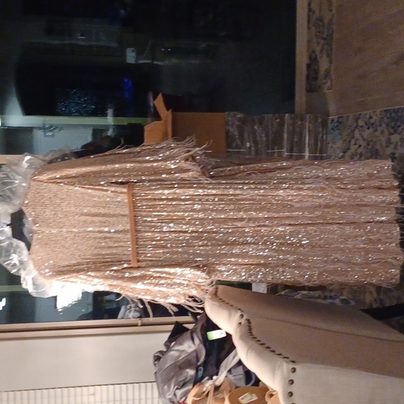 NWT ANTONIO MELANI x Nicola Bathie Nicola Sequin Belted Feathered A-Line Dress - Picture 12 of 16